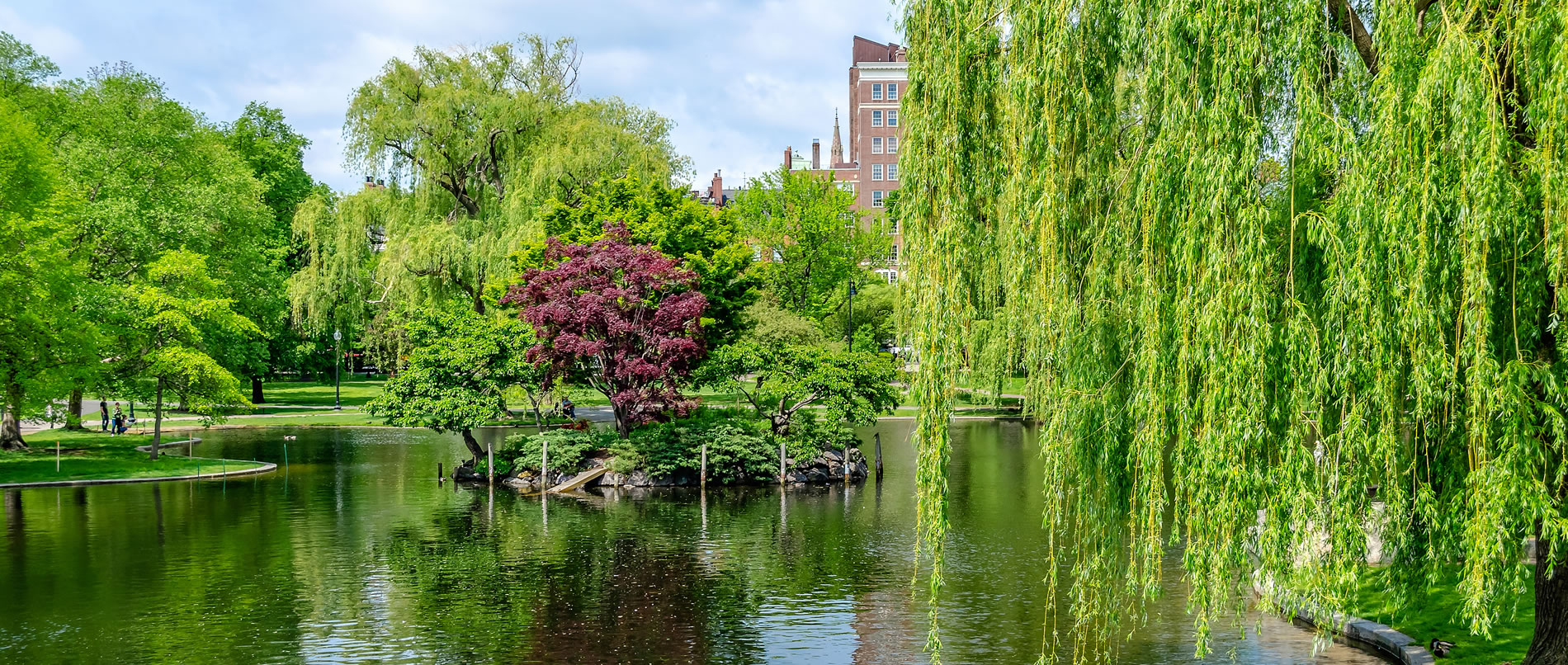 Idillic view in the scenic Boston Public Garden, USA